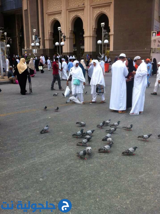 مجموعة صور جديدة لمعتمري جلجولية وأخر يوم في مكة المكرمة
